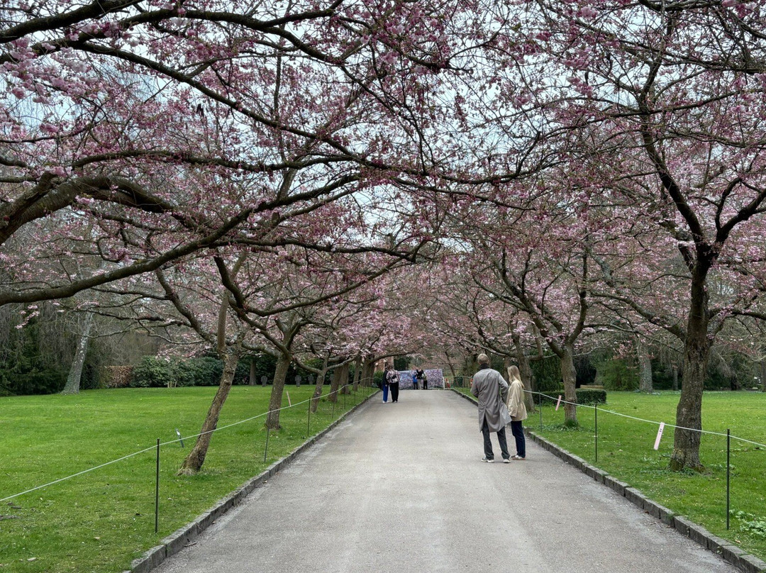 Bispebjerg Cemetery-哥本哈根必去景点