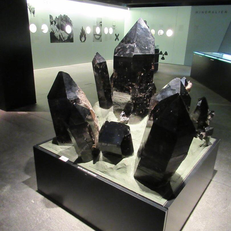 Naturhistorisches Museum Bern-伯尔尼必去景点