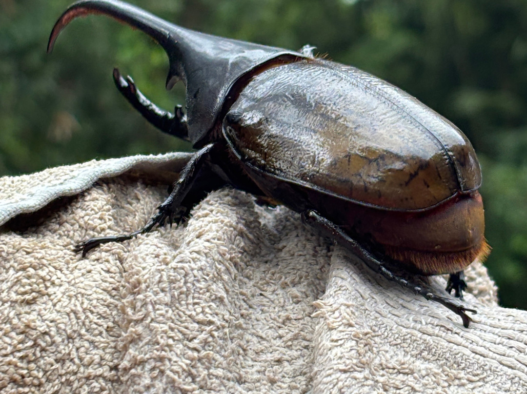 拉古纳小屋全膳主图