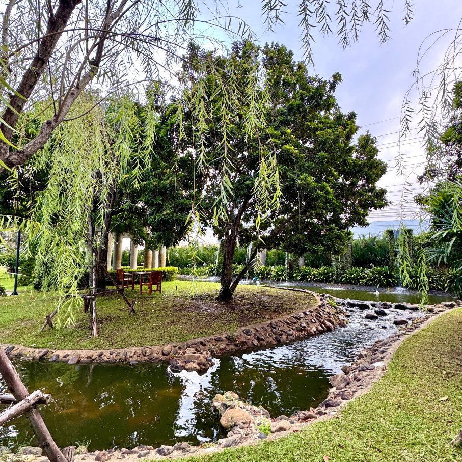 玛尼昌度假村-旅行者
