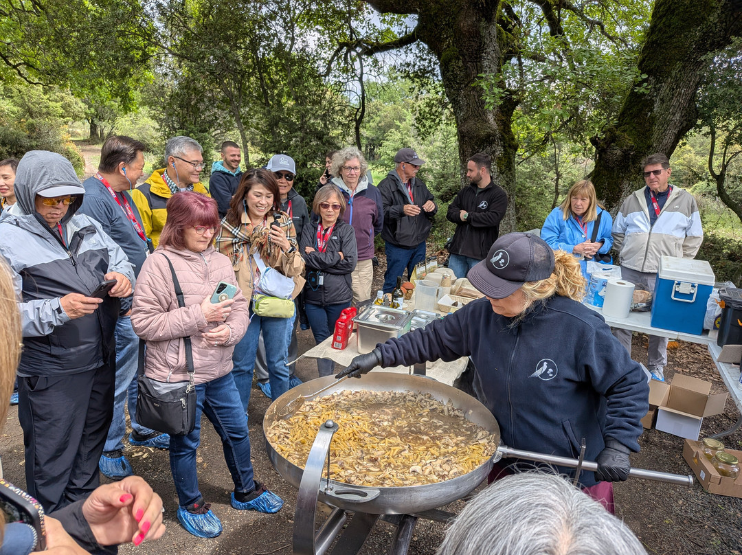 Truffle Hunting-卡兰巴卡必去景点