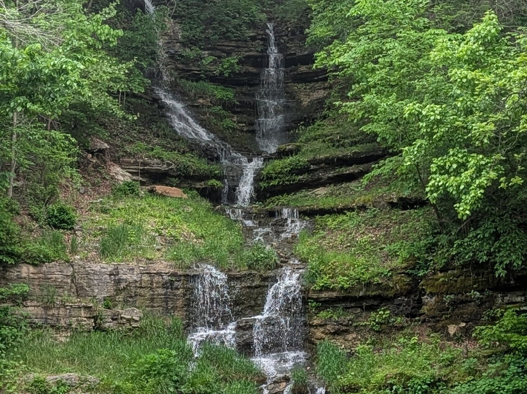 Dogwood Canyon Nature Park-Lampe必去景点