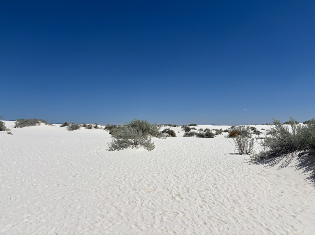 White Sands National Park-阿拉莫戈多必去景点