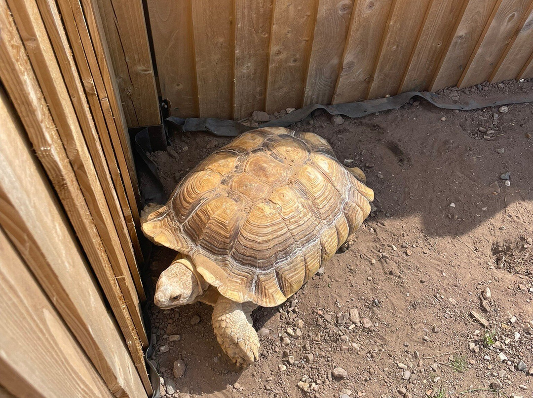 Holmes Chapel Zoo-Holmes Chapel必去景点