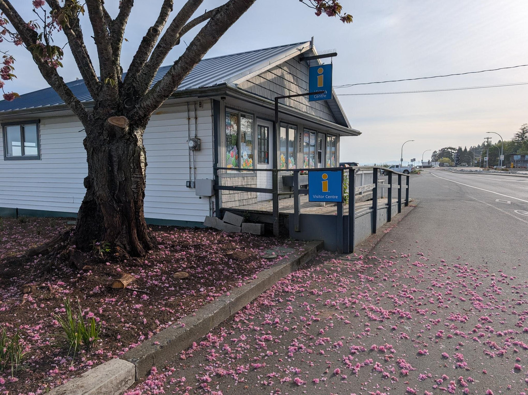 Qualicum Beach Visitor Information Centre-魁利克姆海滩必去景点