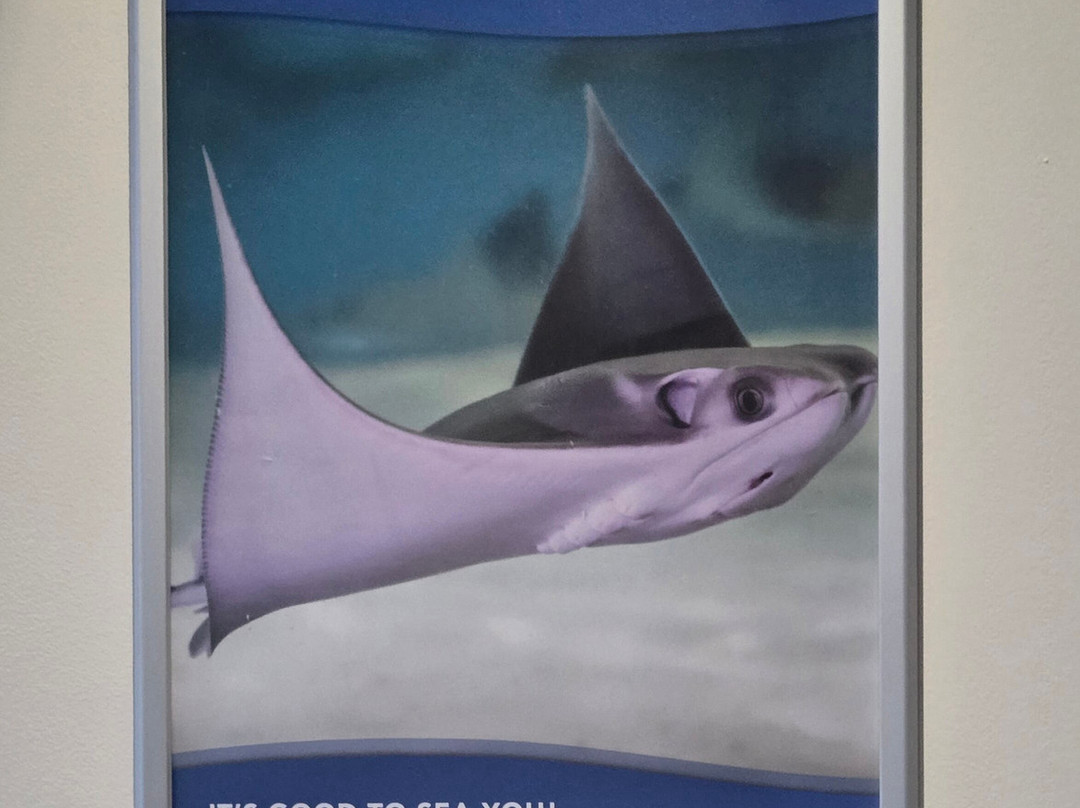 Virginia Aquarium & Marine Science Center-弗吉尼亚海滩必去景点