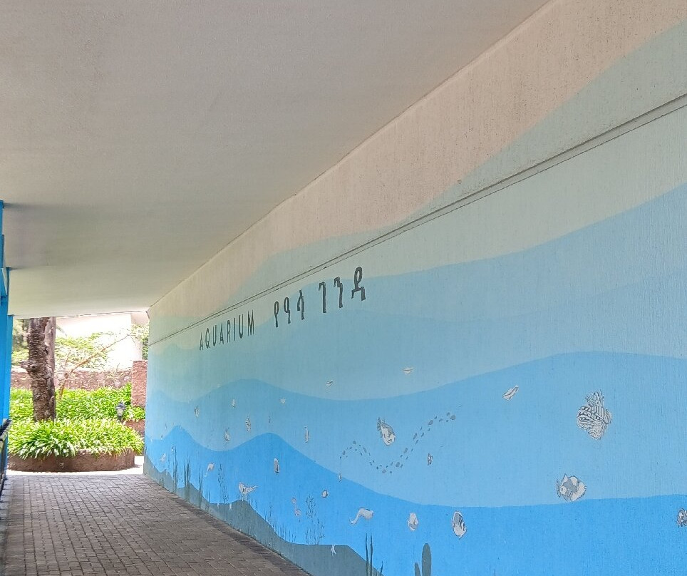 Unity Park-亚的斯亚贝巴必去景点