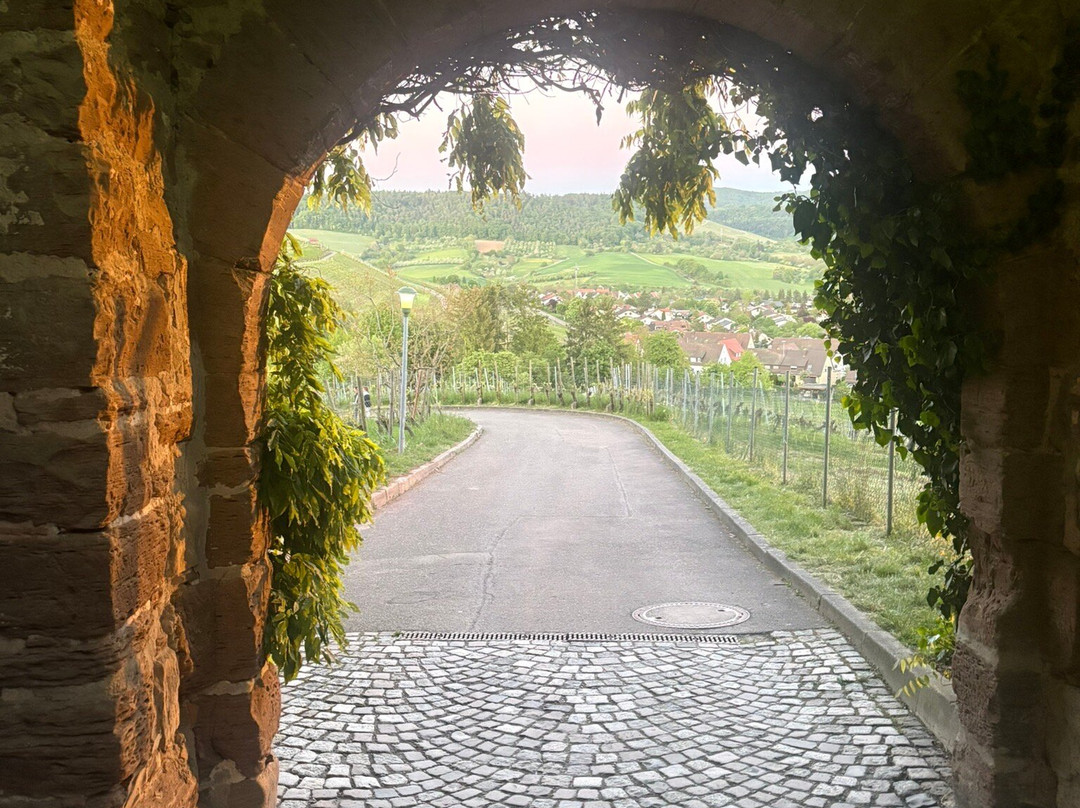 Burg Hohenbeilstein-Beilstein必去景点