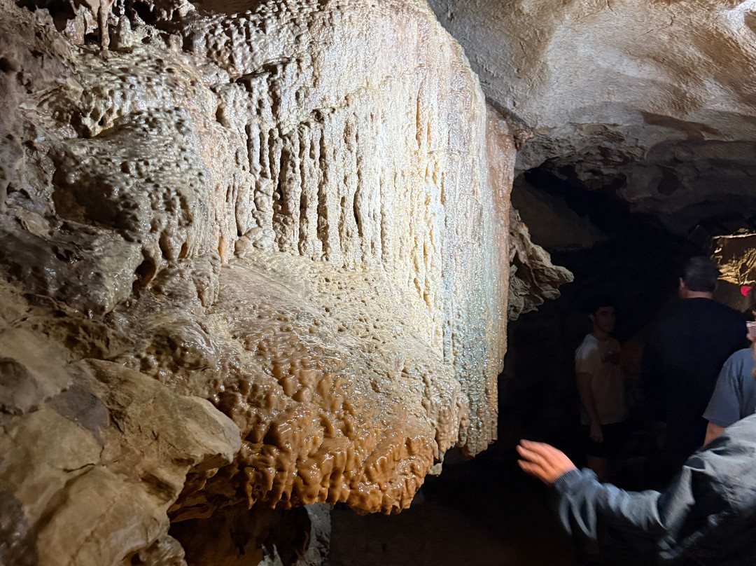 Tuckaleechee Caverns-汤森必去景点