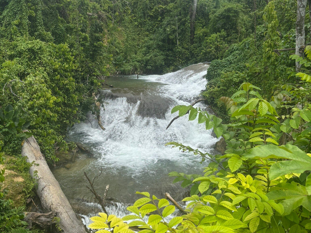 Jammin Jamaica Tours-Lucea必去景点