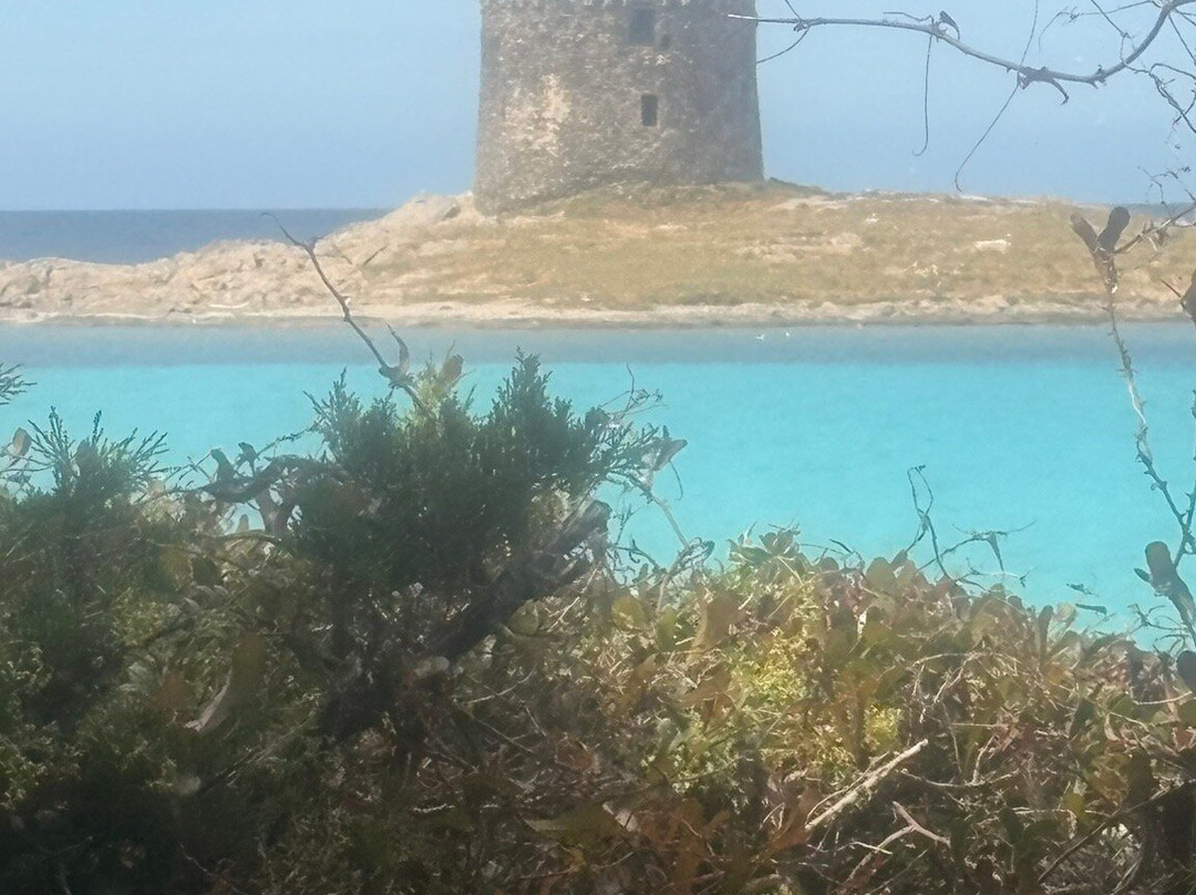 La Pelosa Beach-斯廷蒂诺必去景点