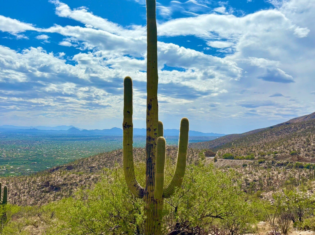 Mt. Lemmon Scenic Byway-图森必去景点