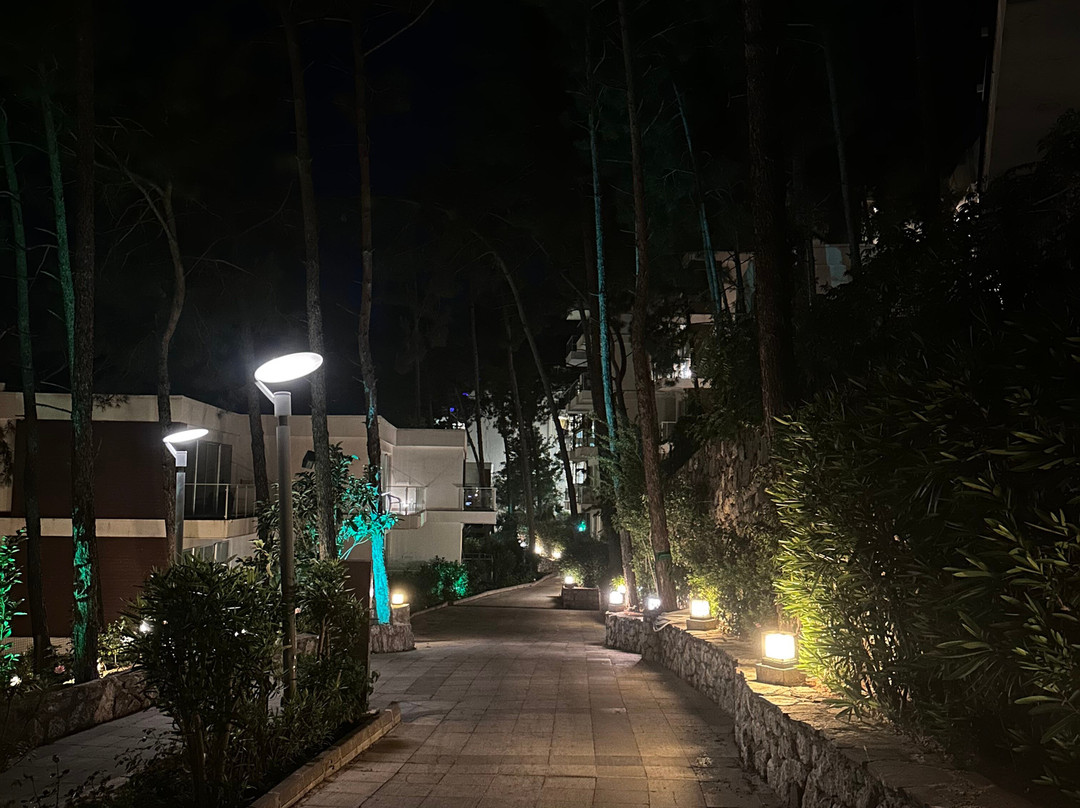 欧尔克莲海滩森蒂多酒店主图