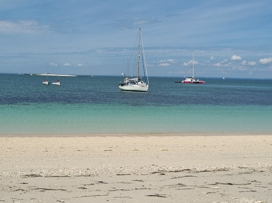 Caseneuve Maxi Catamaran-La Foret-Fouesnant必去景点