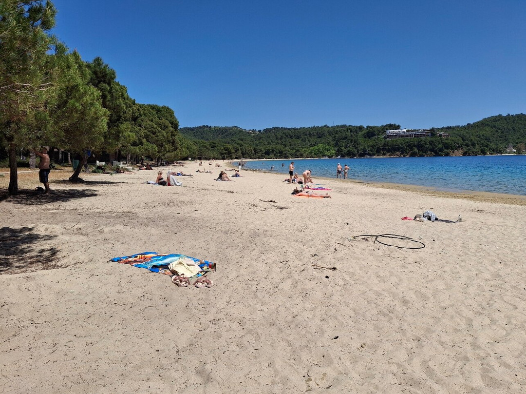 Koukounaries Beach-Koukounaries必去景点