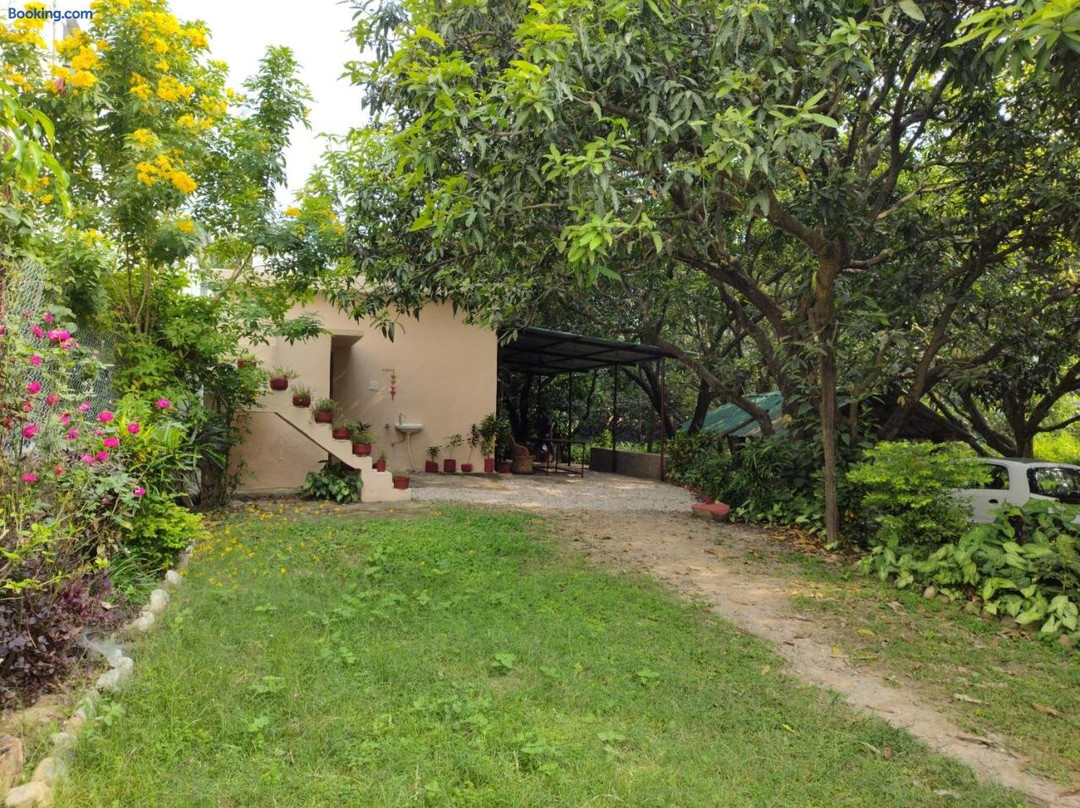 Corbett Green Orchard