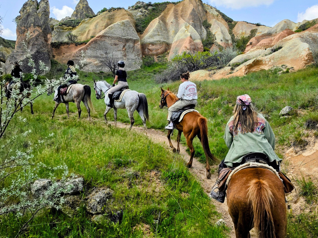 The Dalton Brothers Horse Riding Tours-格雷梅必去景点