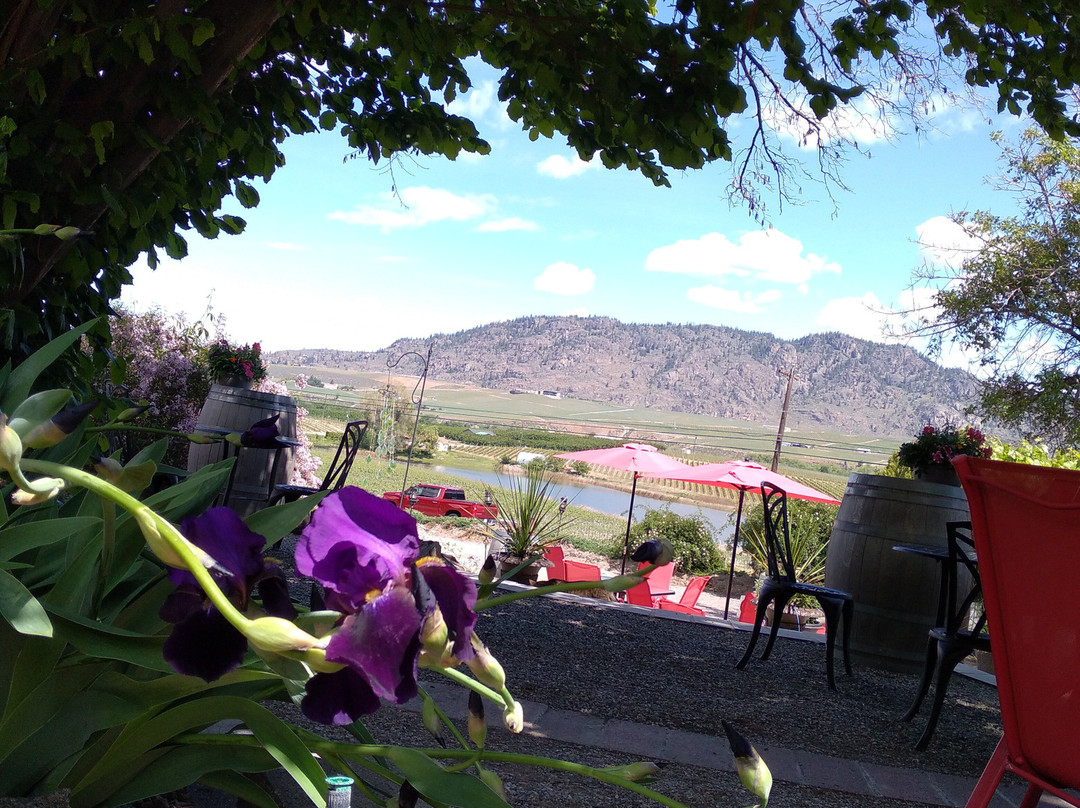 Castoro De Oro Estate Winery-Oliver必去景点