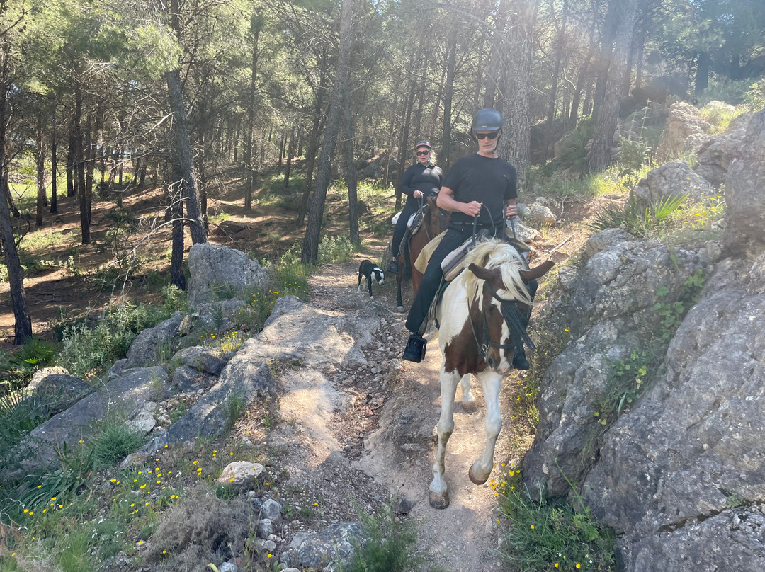 Horse Riding El Chorro-El Chorro必去景点