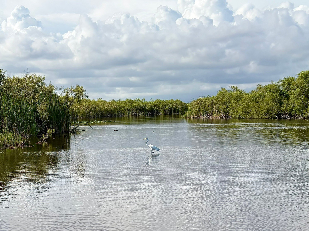 Everglades Airboat Excursions-Tamarac必去景点