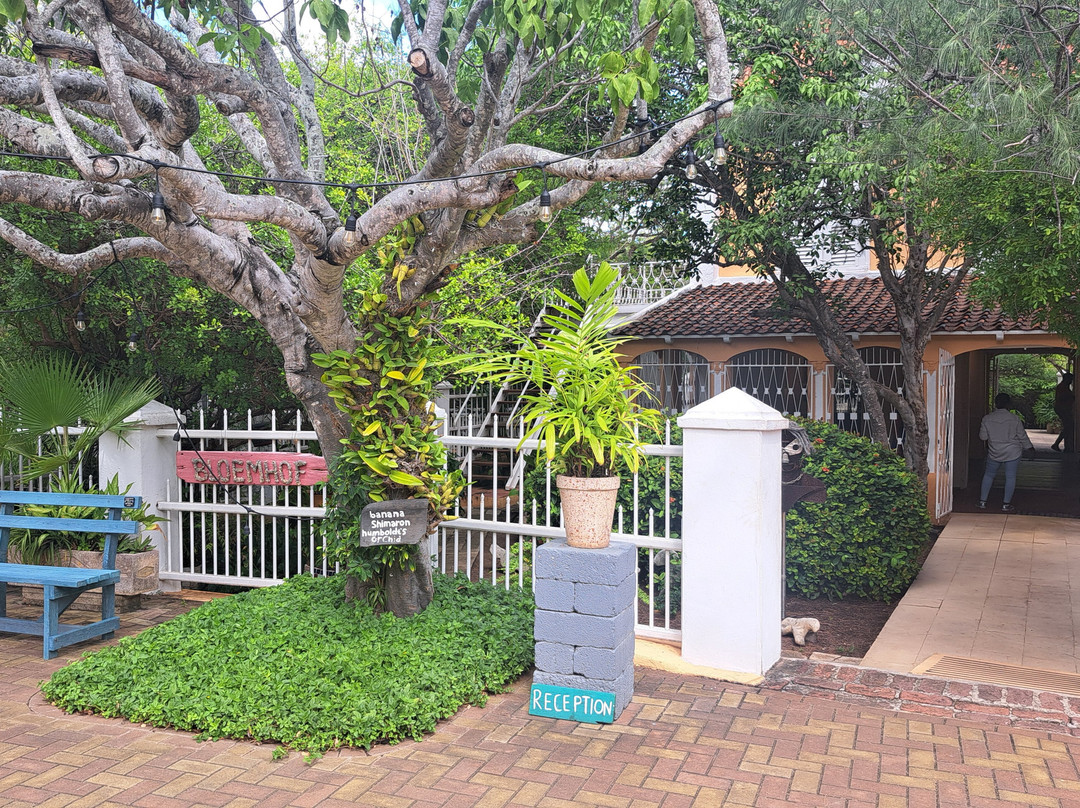 Landhuis Bloemhof-威廉斯塔德必去景点