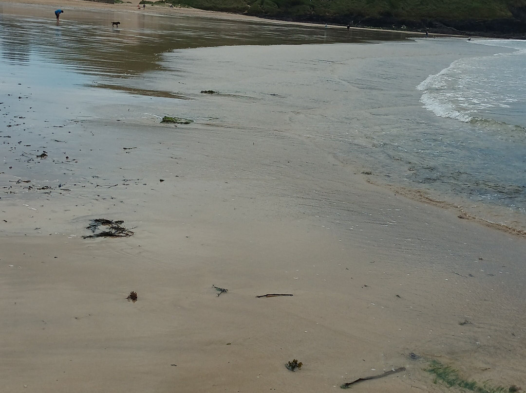 Daymer Bay Beach-Wadebridge必去景点