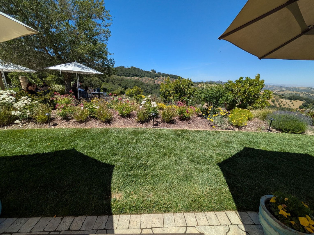 DAOU Vineyards-帕索罗布尔斯必去景点