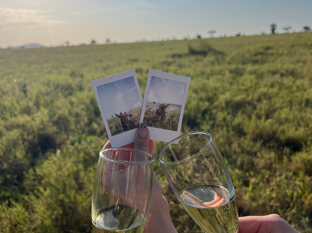 Adventures Aloft Balloon Safari Tanzania-Ikoma必去景点