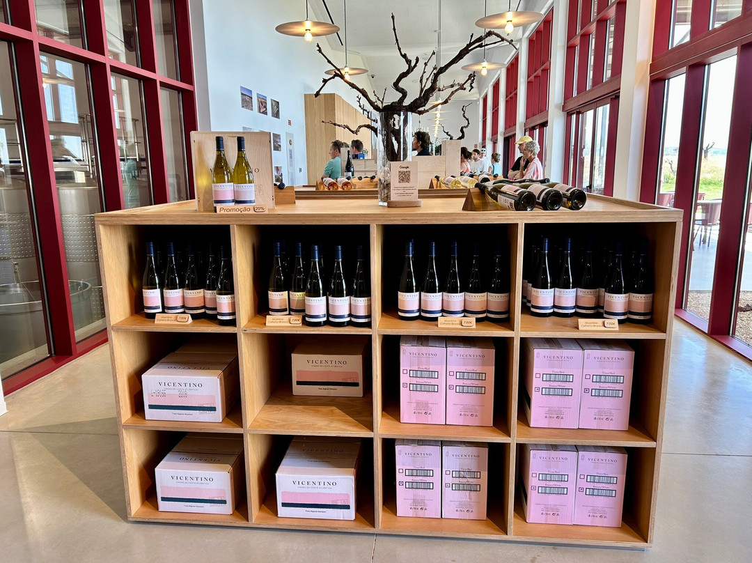 Vicentino Wines-Odemira必去景点