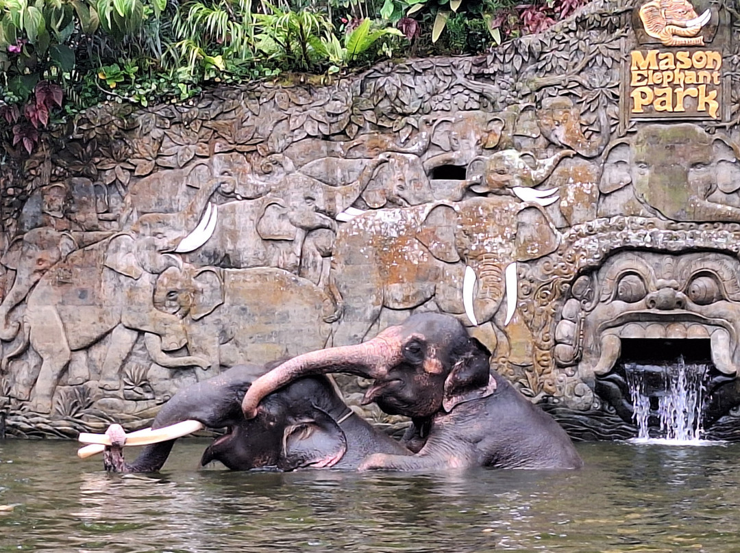 Bali Elephant Park-登巴萨必去景点