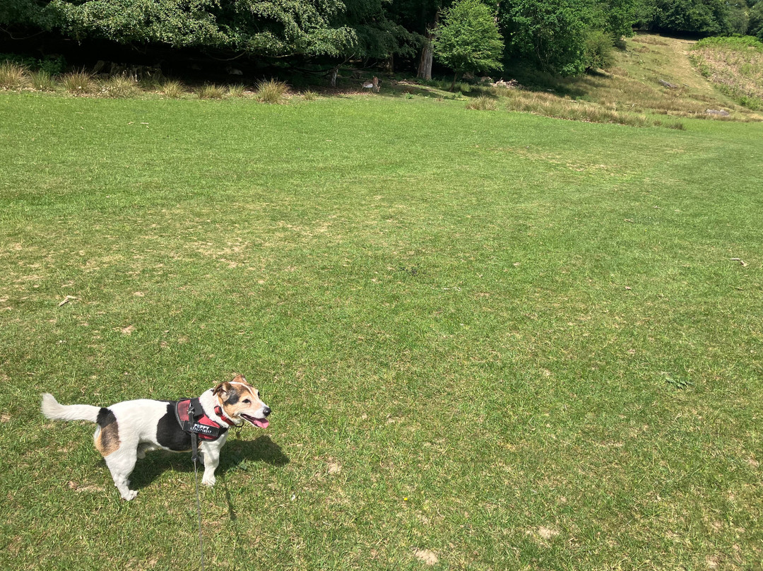Knole House Estate Walking Trails-Sevenoaks必去景点