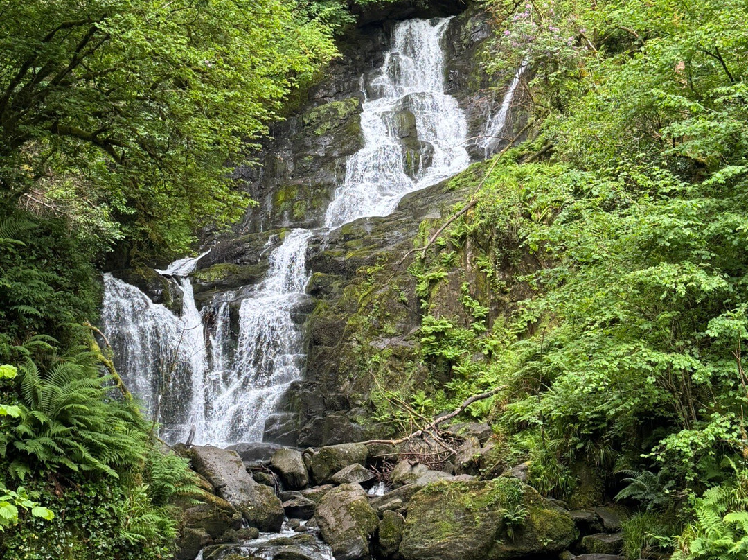 Torc Waterfall-基拉尼必去景点