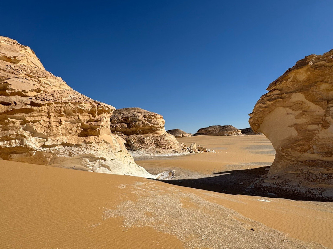 Egypt Camp White Desert-Bawiti必去景点