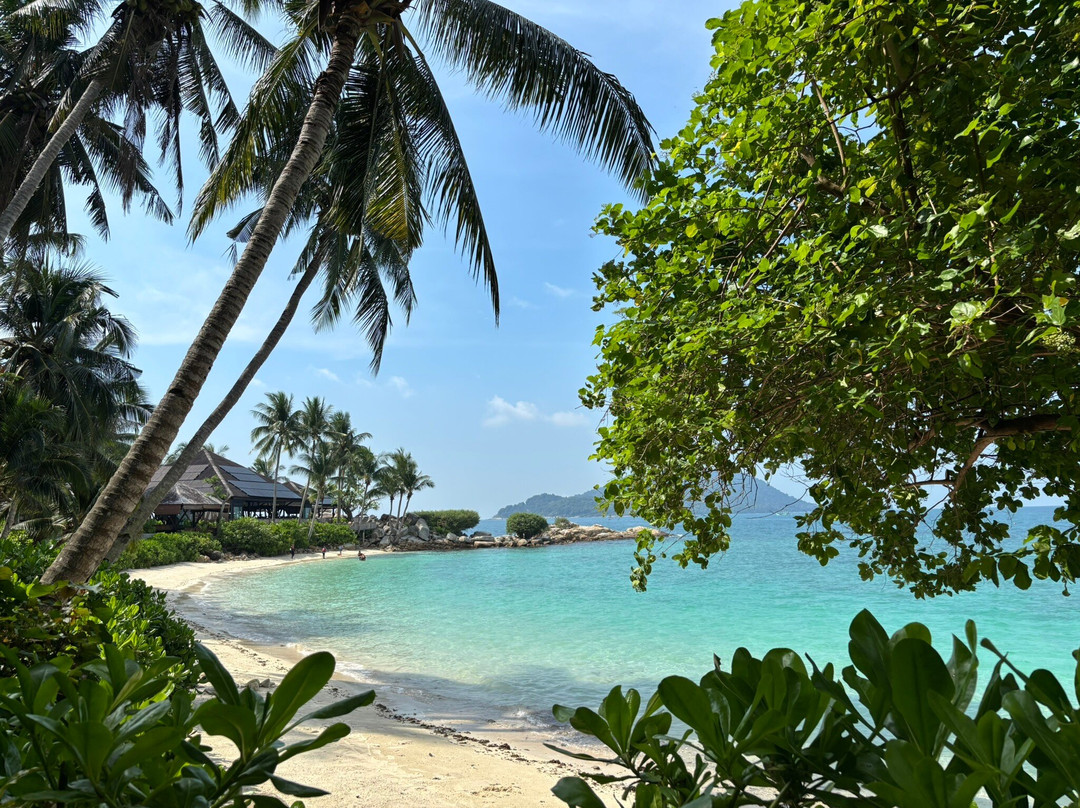 Batu Batu主图