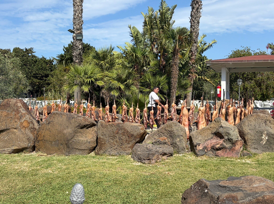 Marina Resort Hotel