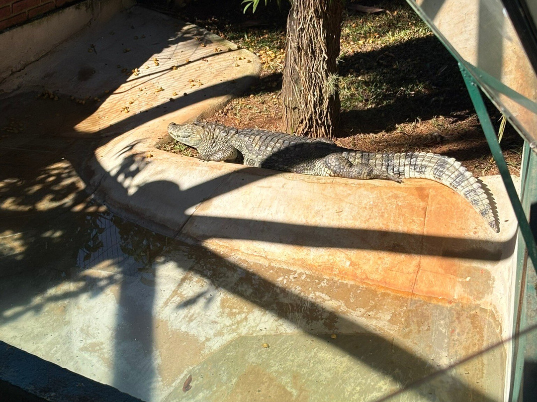 Parque Zoologico Municipal de Bauru-Bauru必去景点