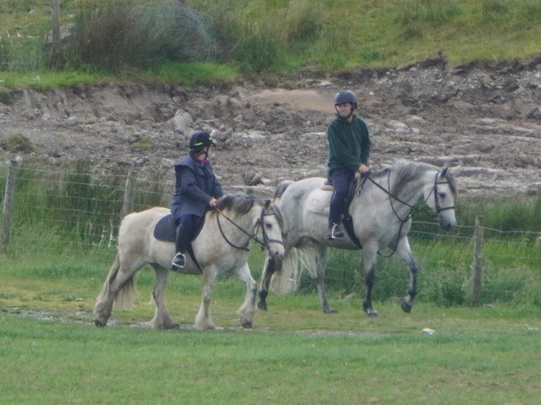 Pony Trekking at Bwlchgwyn Farm-Arthog必去景点