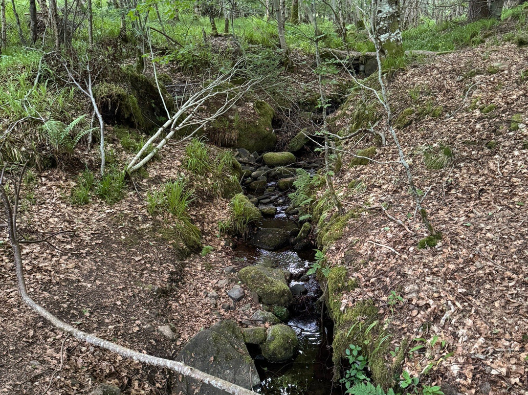 Big Burn Walk-Golspie必去景点