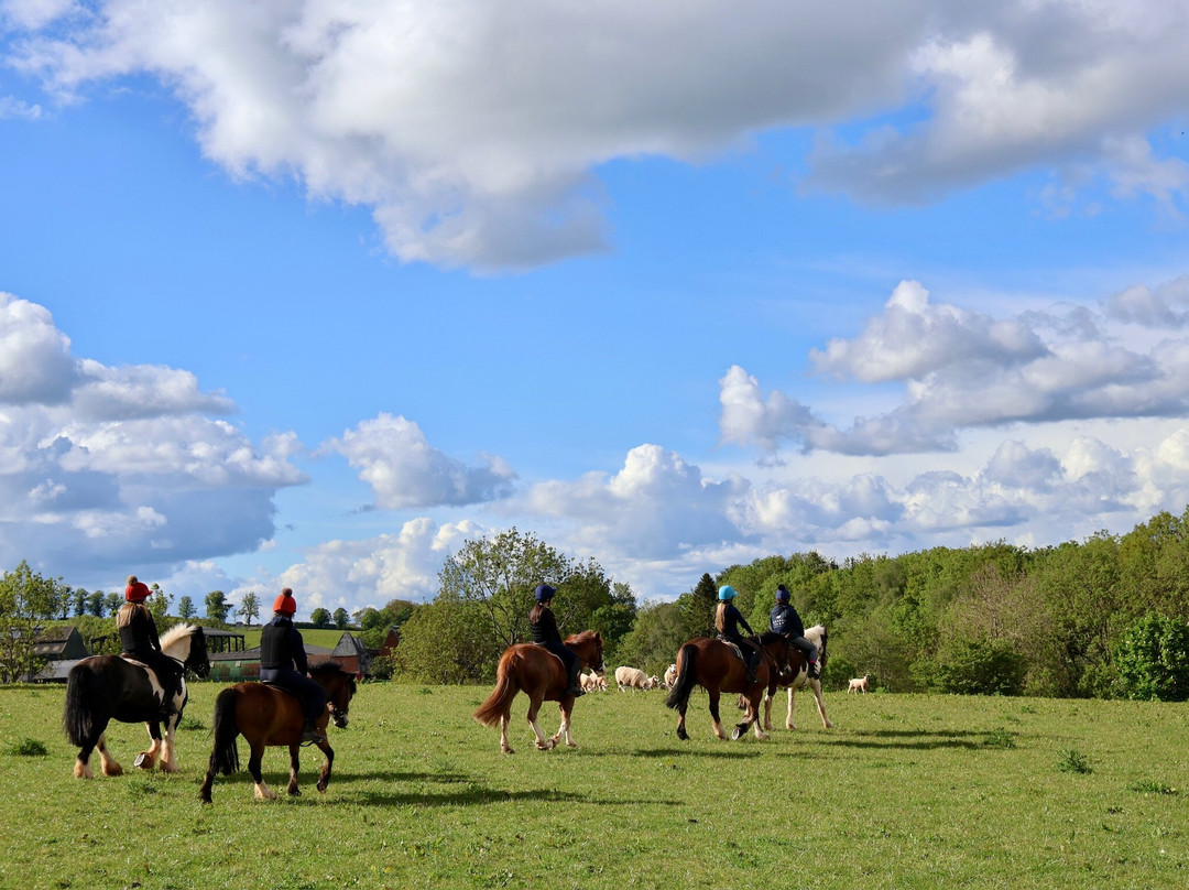 Noakes Farm Riding Centre-Bromyard必去景点