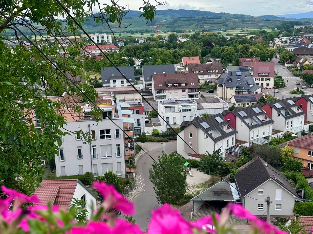 Stephansmünster Breisach-Breisach am Rhein必去景点