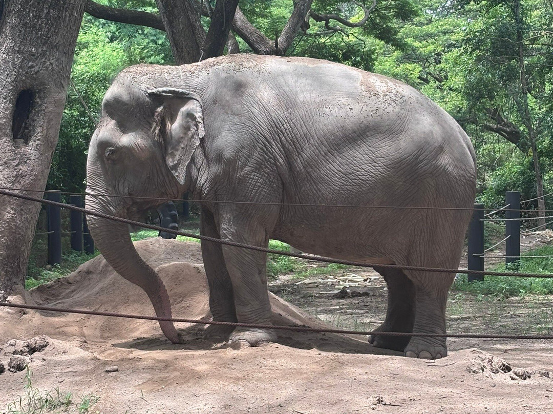 Wildlife Friends Foundation Thailand-他央必去景点
