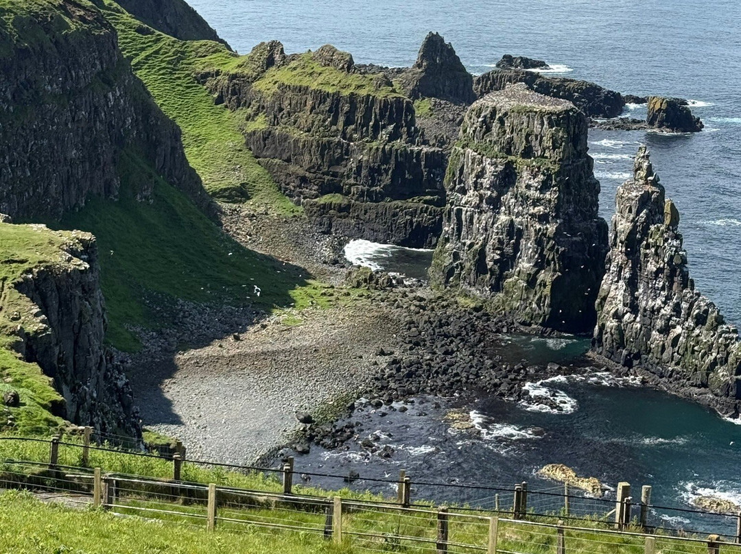 RSPB Rathlin West Light Seabird Centre-Rathlin Island必去景点