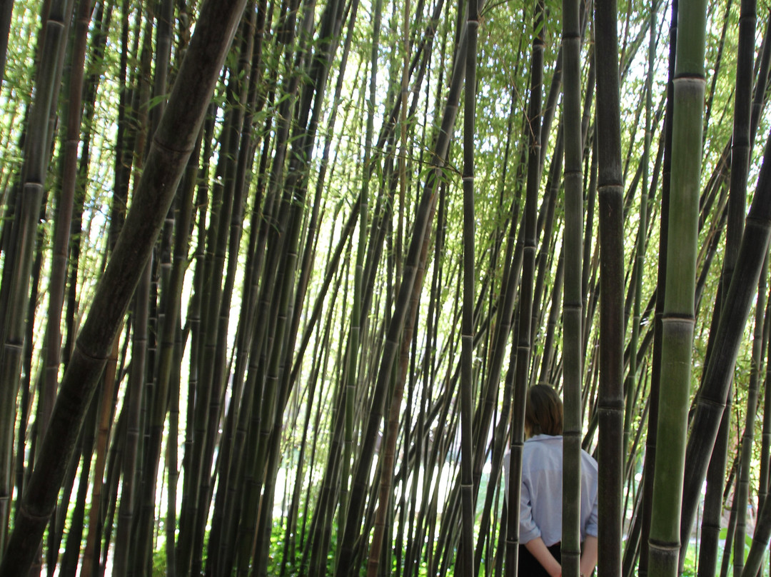 Orto e Museo Botanico di Pisa-比萨必去景点
