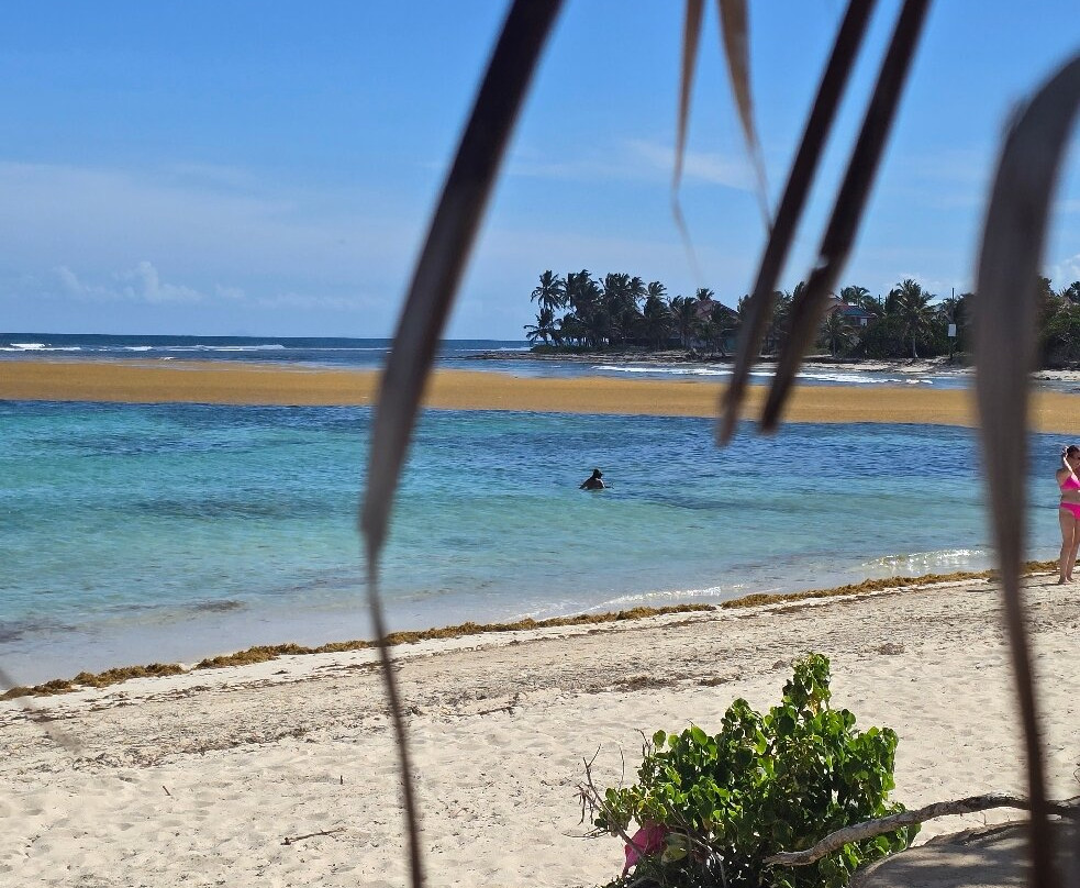 Plage des Raisins Clairs-Saint Francois必去景点