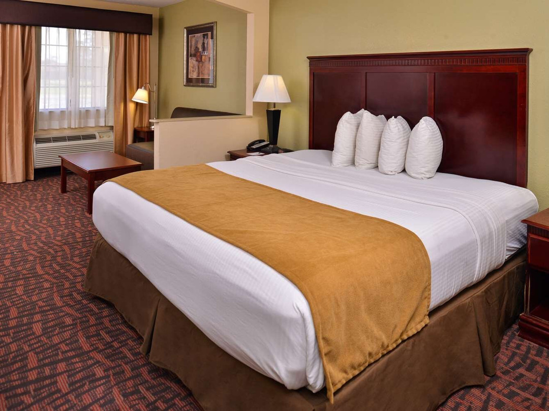 Oakdale酒店住宿-Best Western Eunice