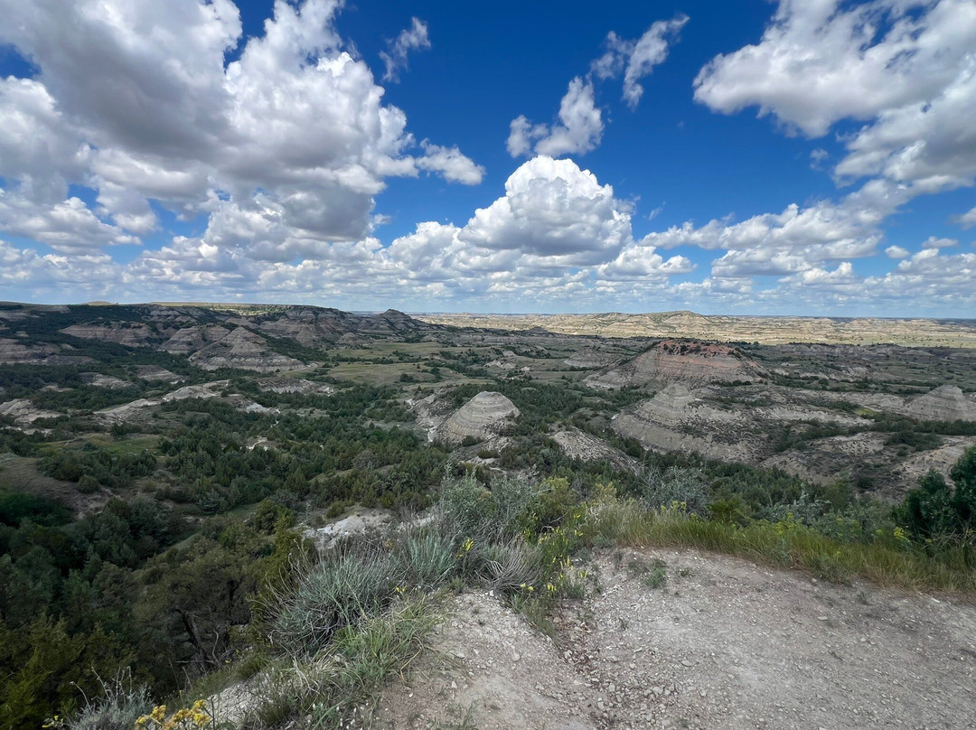 Painted Canyon Overlook-Theodore Roosevelt National Park必去景点