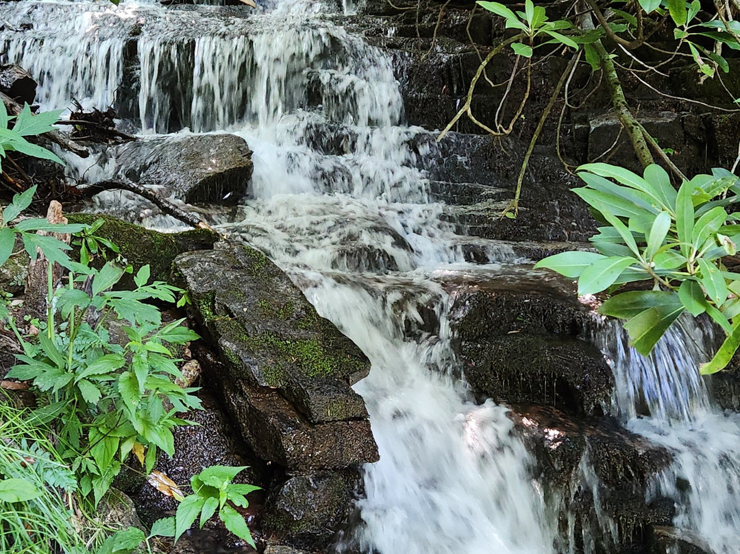 Soco Falls-Maggie Valley必去景点