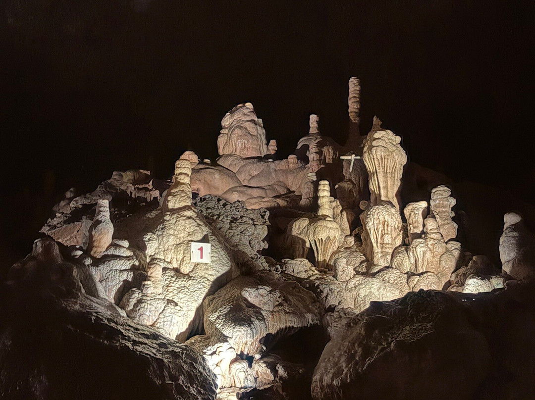 Grotte de Dargilan-Meyrueis必去景点