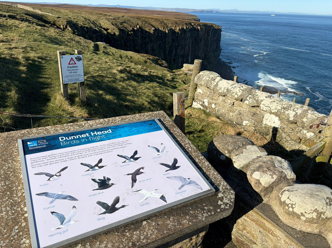 Dunnet Head-Thurso必去景点