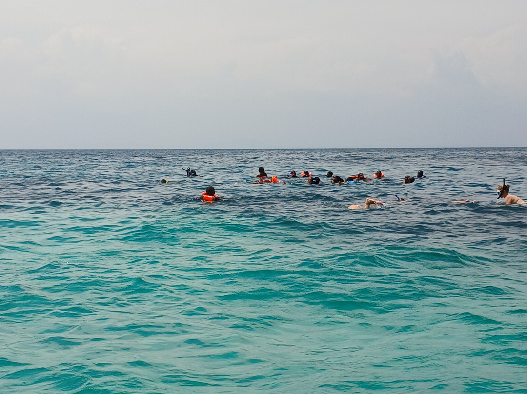 Wasini sea safaris-Wasini Island必去景点